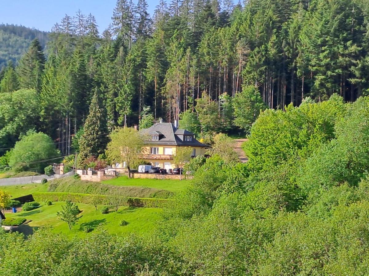 Вилла Le Clara Saulxures Экстерьер фото